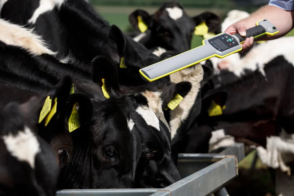 Livestock Data Manager